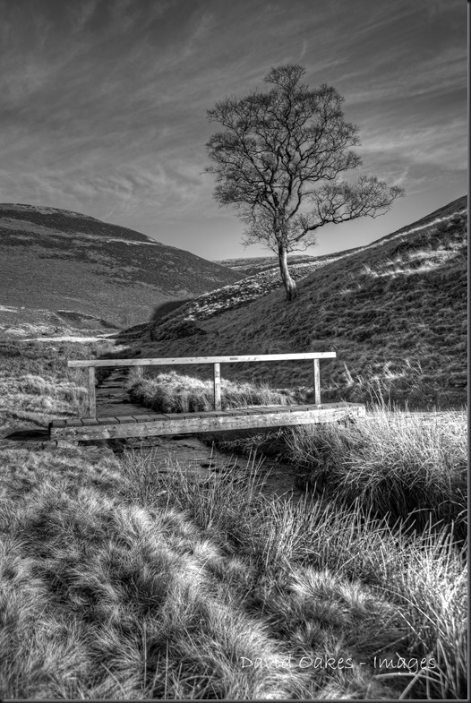 Upper Derwent Valley, Derbyshire