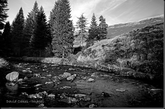 Upper Derwent Valley, Derbyshire