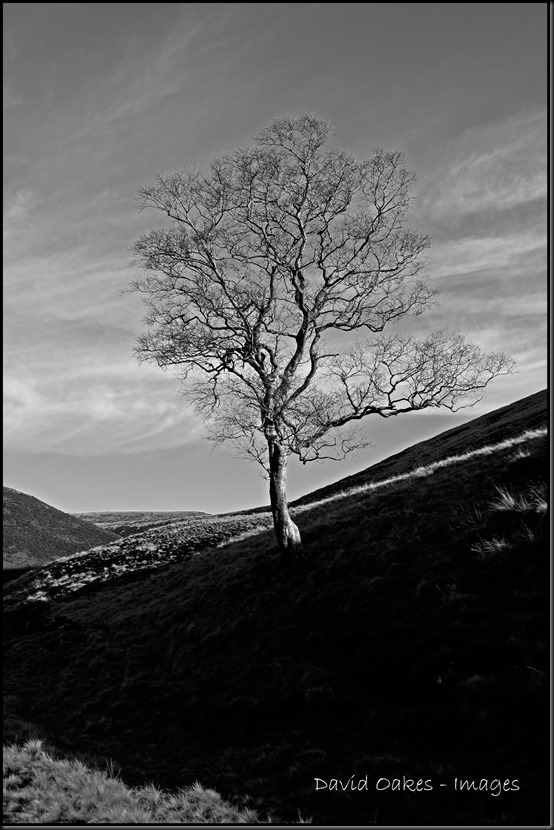 Upper Derwent Valley, Derbyshire