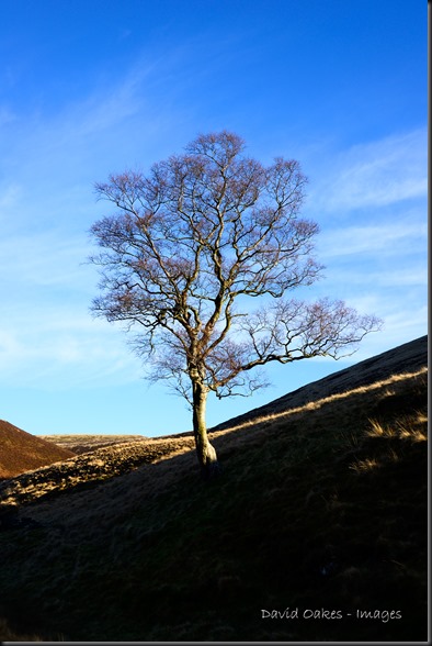 Upper Derwent Valley, Derbyshire
