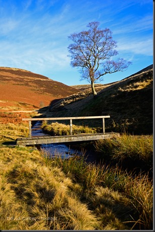 Upper Derwent Valley, Derbyshire