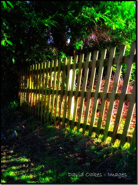 The-Fence