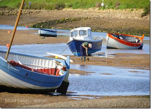 3.7.2013  04726Coast Norfolk