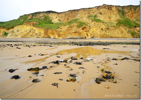 Norfolk 3 _697Buildings and Flint Norfolk