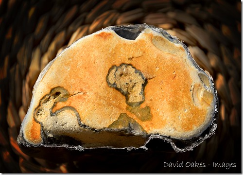 Norfolk 3 _730Buildings and Flint Norfolk