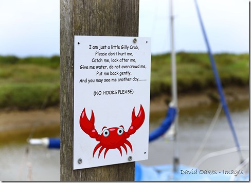 Norfolk 5_1006Coast Norfolk