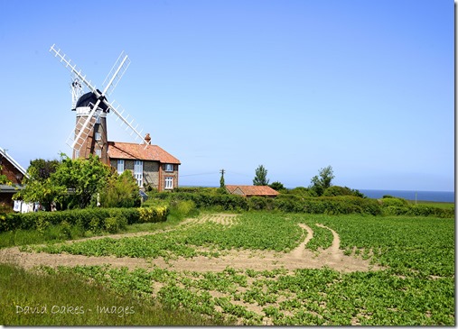 Norfolk 5_905Buildings and Flint Norfolk