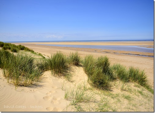 Norfolk 5_915Coast Norfolk