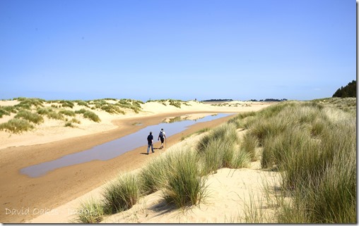 Norfolk 5_920Coast Norfolk