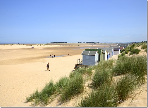 Norfolk 5_926Coast Norfolk