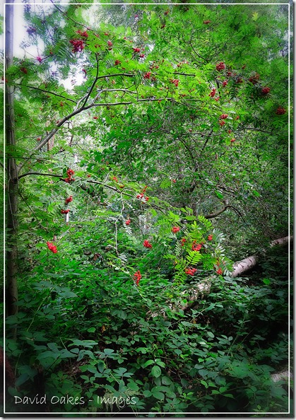 Jeans-Cam-Aug--05148_006