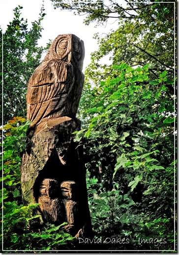 Jeans-Cam-Aug--05150_008