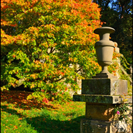 View album View album