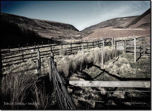 Upper Derwent Valley, Derbyshire