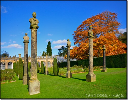 The-Dukes-Rose-Garden,-Chatsworth-872