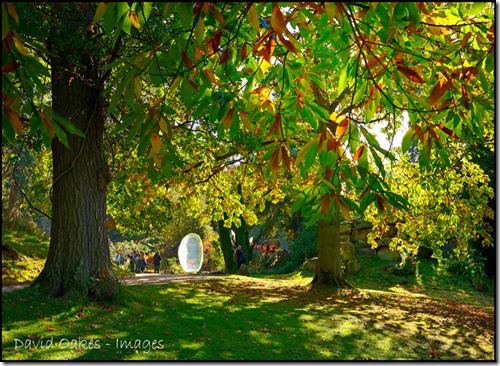 THE-LENS-by-UNUS-SAFARDIAR,-Chatsworth-853