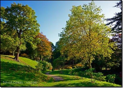 The-Woodlands-at-Chatsworth-783