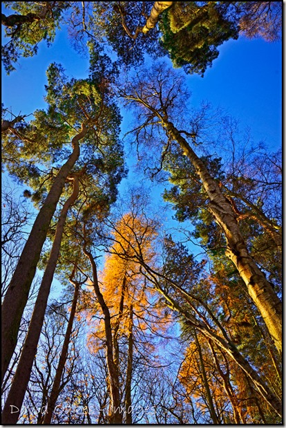 Late-November-Morning