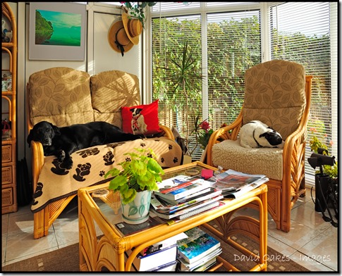 Lazy-Sunday-Afternoon