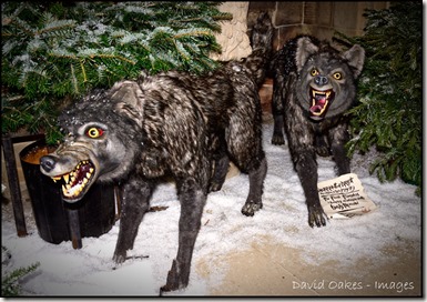 Chatsworth-X13-06702