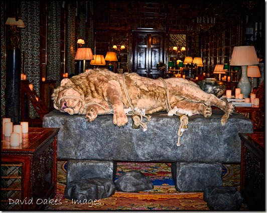 Chatsworth-X13-06731