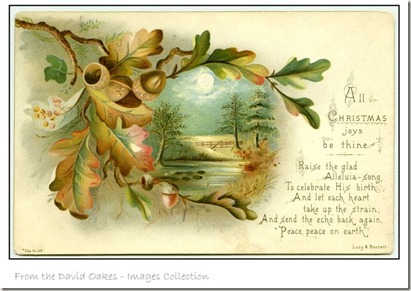 Oak-Leaves-for-Christmas