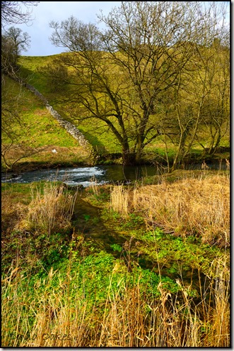 Dove-Dale-Watercress-Beds