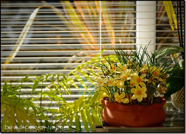 Sunday-Breakfast-23.2