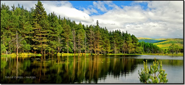 Uath-Lochans,-Farleitter,-Glen-Feshie,-Cairngorms,-Scotland-