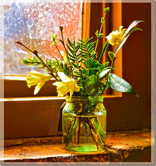 Spring-on-the-Window-sill