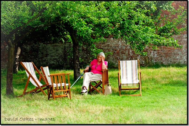 A-Doze-under-the-Appletree