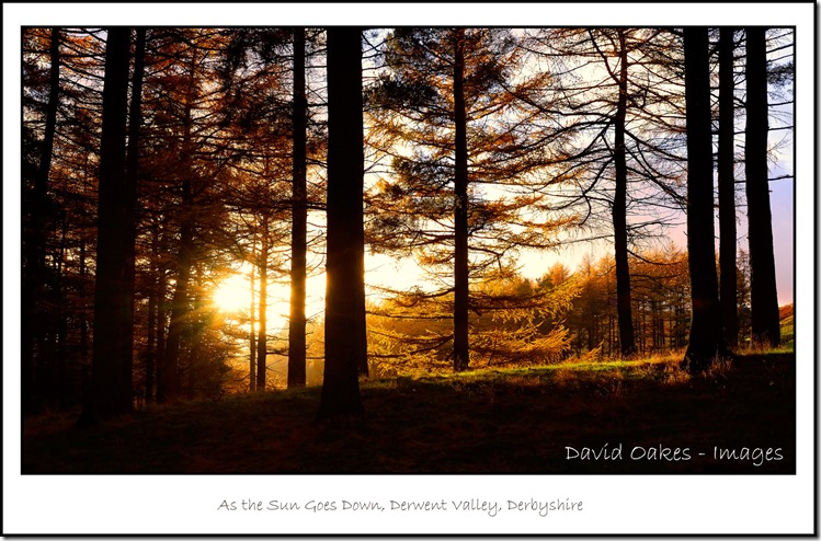 As-the-Sun-Goes-Down