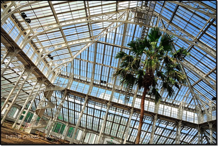 Kew-21.6-Temperate-House