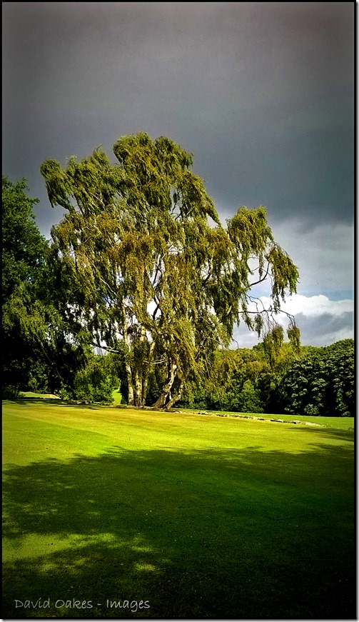 Storm-Clouds-and-Wind