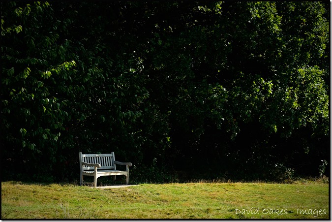 Lakeside-Bench