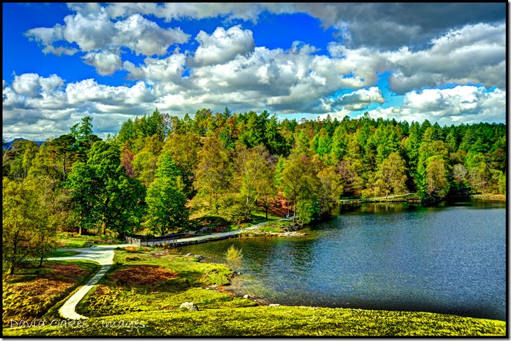 Tarn-Hows-HDR