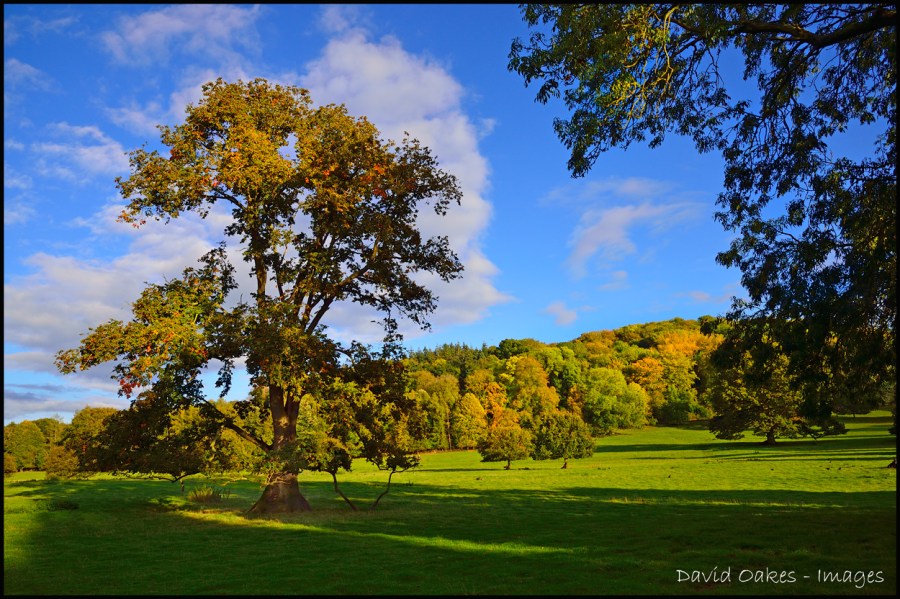 Autumn-Comes-a-little-nearer