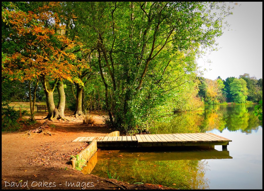 Morning-by-the-Lake.jpg-3