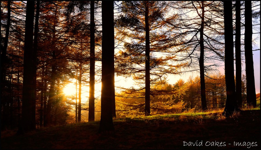 As-the-sun-goes-down