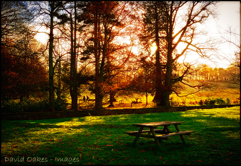 A-Lone-Table,-Evening