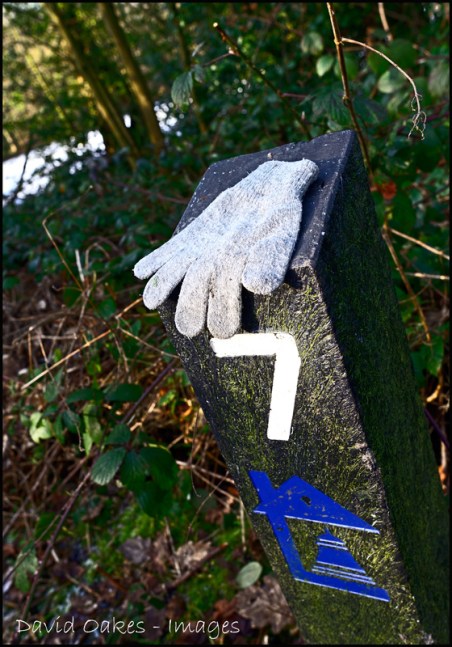 3.2-Rht-Hand-Childs-Glove-2