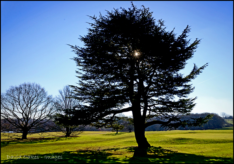 9.2--High-Noon-February