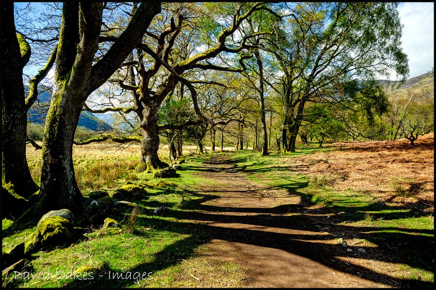 Miners-Track-Borrowdale