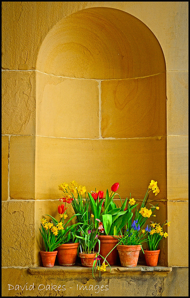 8.4-Spring-Bulbs-Display