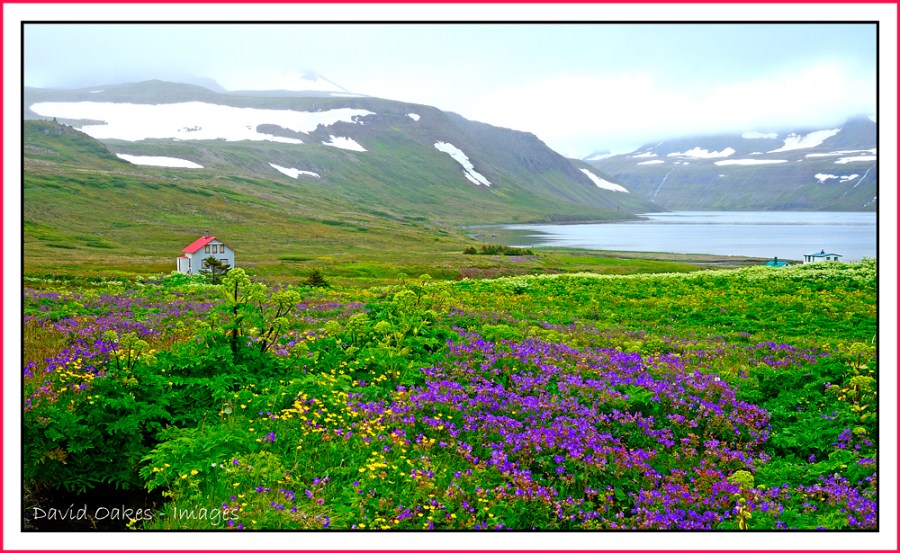 Hesteyri-Nature-Reserve
