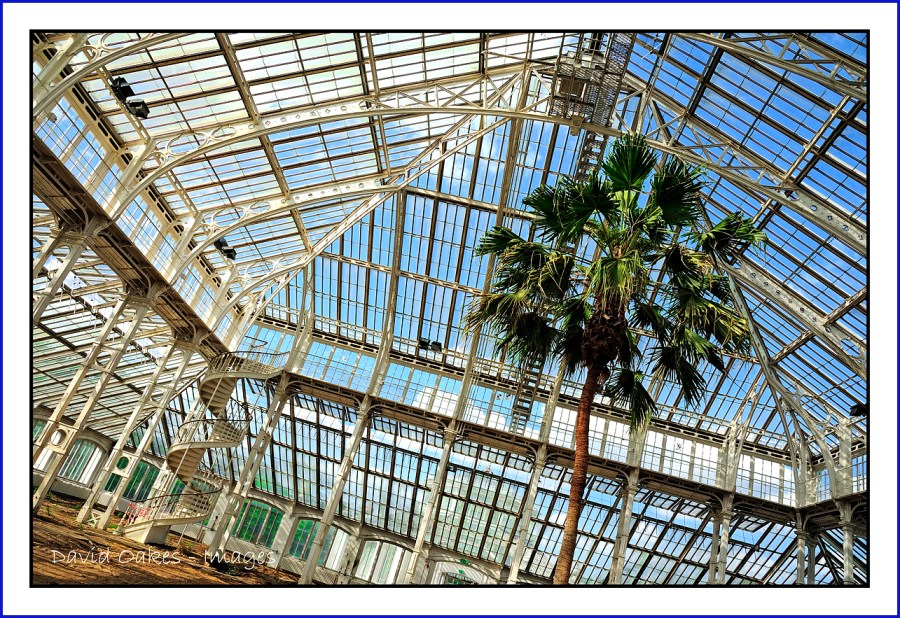 Kew-21.6-Temperate-House