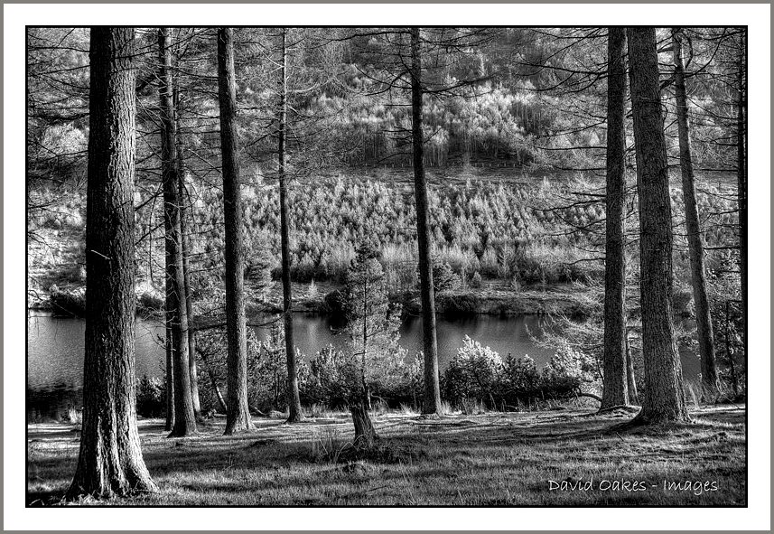 Upper Derwent Valley, Derbyshire