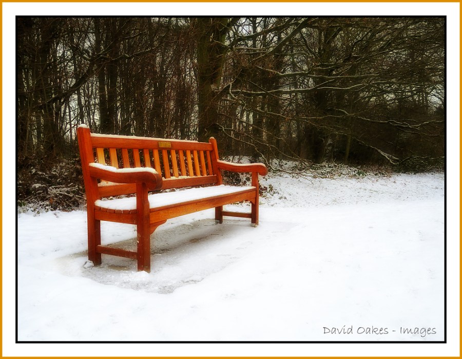 Bench-in-Snow