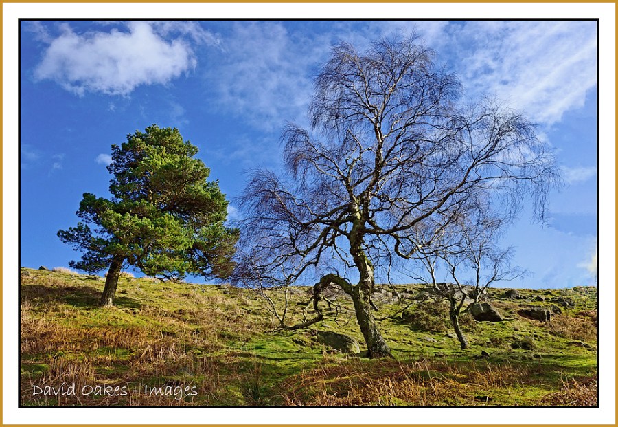 Longshaw