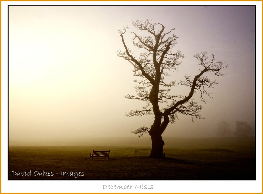Dawn-and-December-Mists